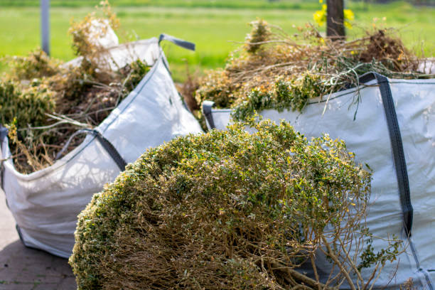 Best Furniture Removal Near Me  in Burbank, IL